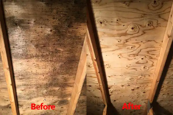 water damage restoration service Old Town